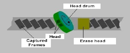 wpfa439c6d_0f.jpg
